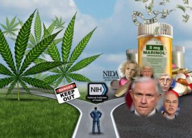 CBD