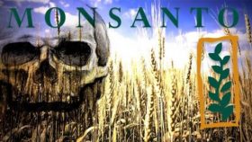 glyphosate