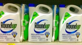 Roundup