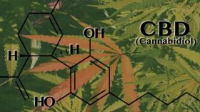 CBD
