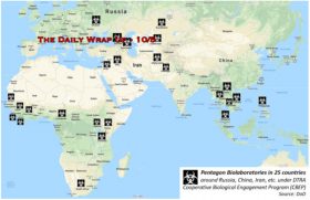 The Daily Wrap Up