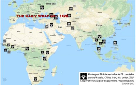 The Daily Wrap Up