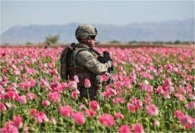 Afghan
