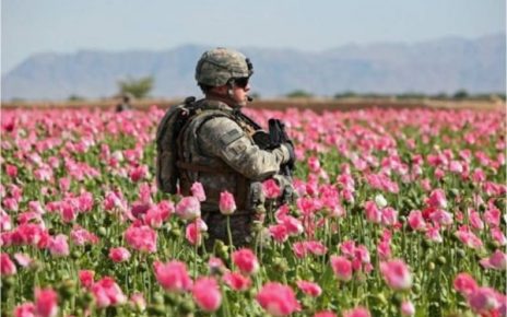 Afghan
