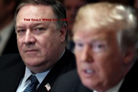 The Daily Wrap Up