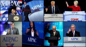 The Daily Wrap Up