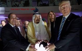 The Daily Wrap Up