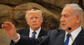 The Daily Wrap Up