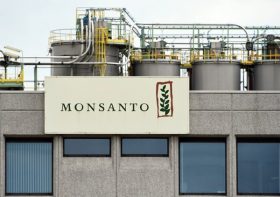 Glyphosate