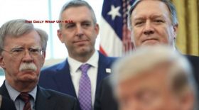 The Daily Wrap Up