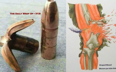 The Daily Wrap Up