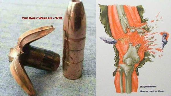 The Daily Wrap Up