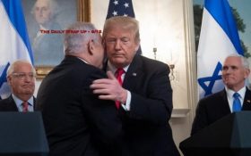 The Daily Wrap Up