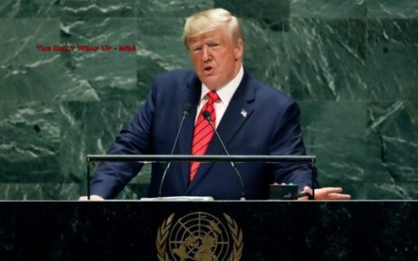 The Daily Wrap Up