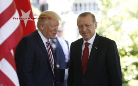 The Daily Wrap Up
