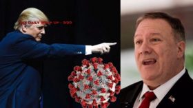 The Daily Wrap Up