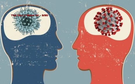 The Daily Wrap Up