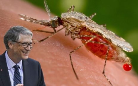 Bill Gates