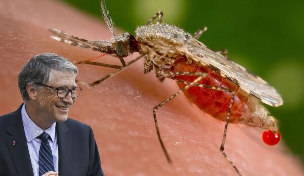 Bill Gates