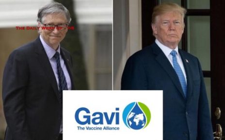 The Daily Wrap Up