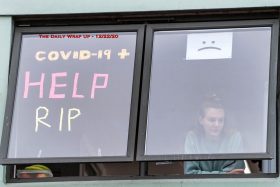 The Daily Wrap Up