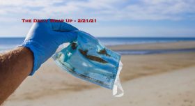 The Daily Wrap Up