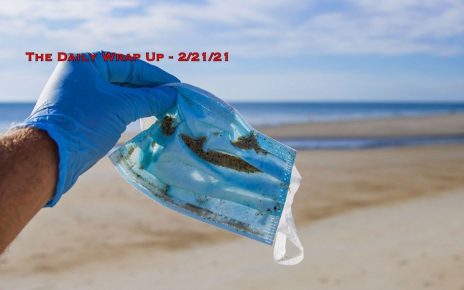 The Daily Wrap Up