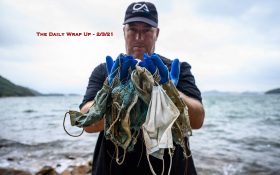 The Daily Wrap Up