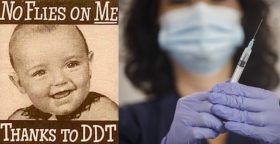 DDT
