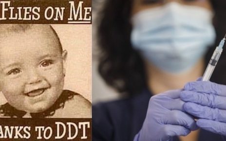 DDT