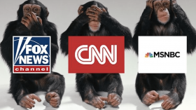 MSM