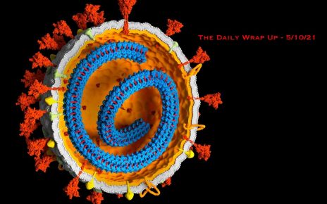 The Daily Wrap Up