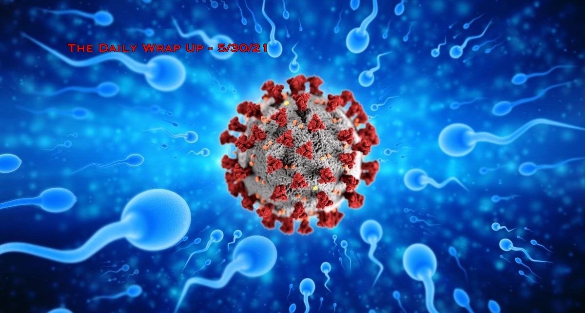 The Daily Wrap Up