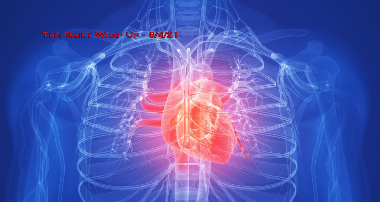 The Daily Wrap Up