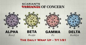 The Daily Wrap Up