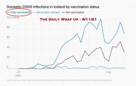 The Daily Wrap Up