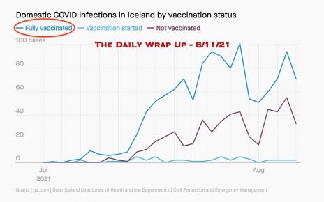 The Daily Wrap Up