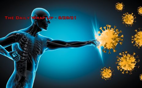 The Daily Wrap Up