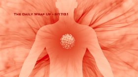The Daily Wrap Up