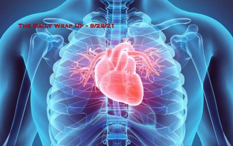 The Daily Wrap Up