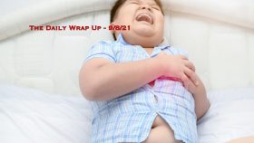 The Daily Wrap Up