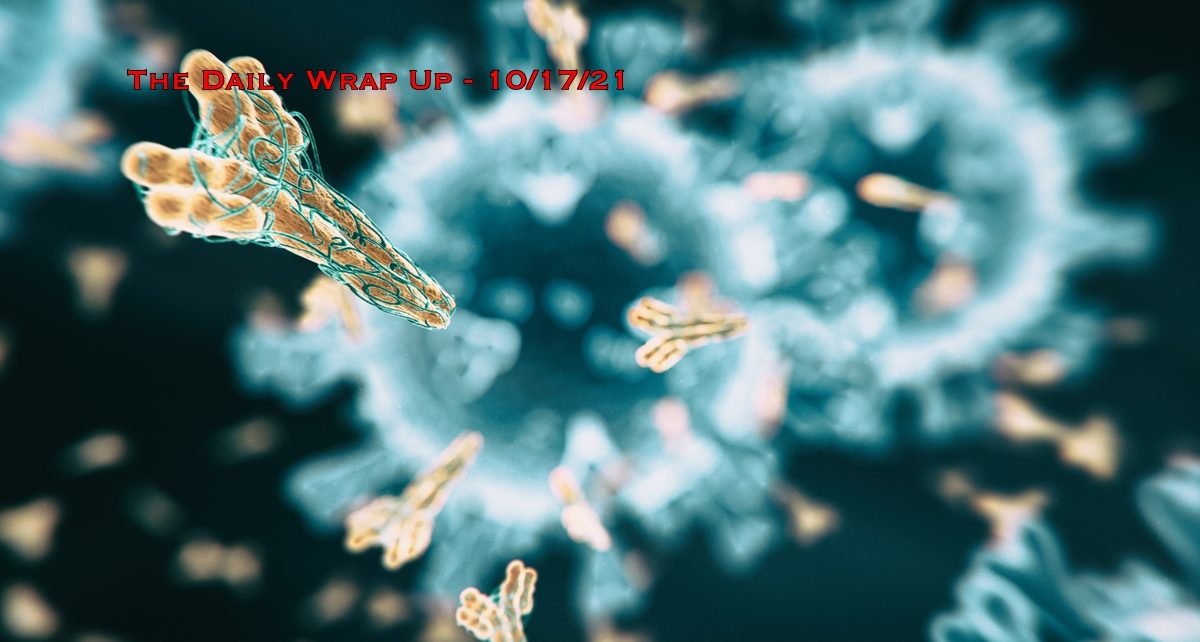The Daily Wrap Up
