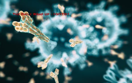 The Daily Wrap Up
