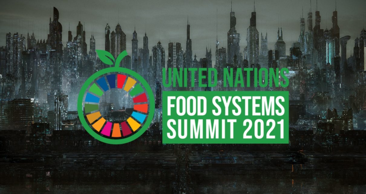 UN Food Systems Summit