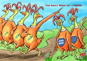 The Daily Wrap Up