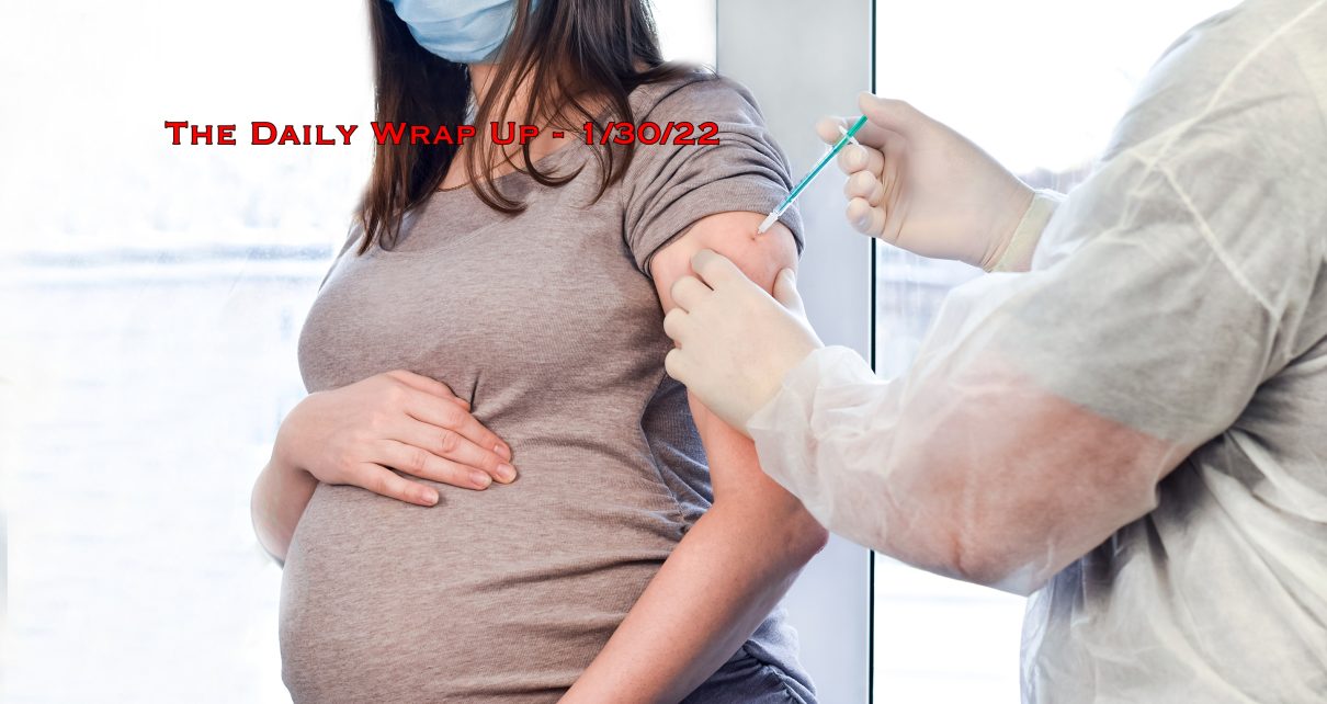 The Daily Wrap Up