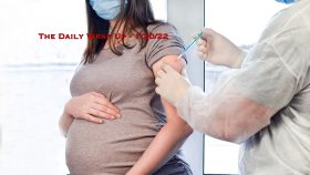 The Daily Wrap Up