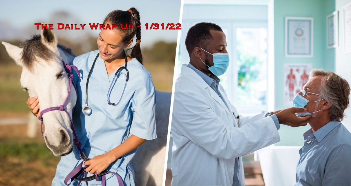 The Daily Wrap Up