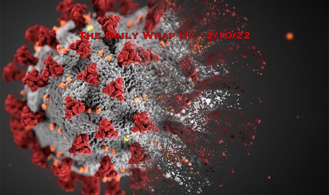 The Daily Wrap Up