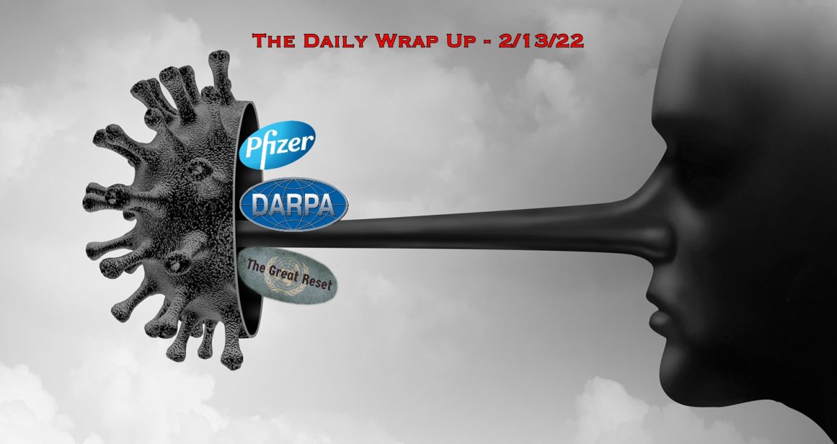 The Daily Wrap Up